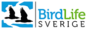 BirdLife Sverige