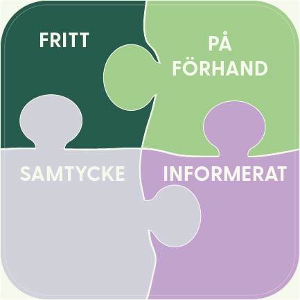 Bild som illustrerar hur FPIC - på förhand givet, fritt och informerat samtycke -fungerar.