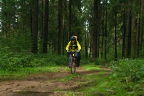 Cyklar genom skogen 