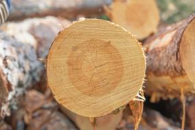 Logs