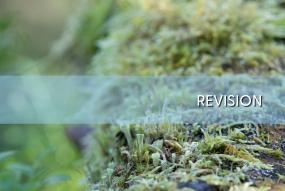 Standardrevision skog