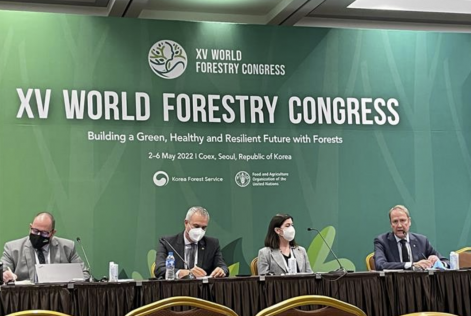 World Forestry Congress