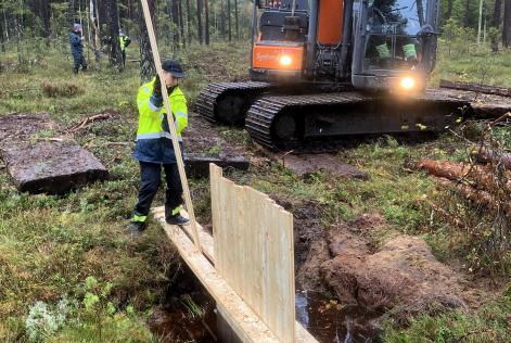 Pluggning av ett dike för att återväta ett skogsområde