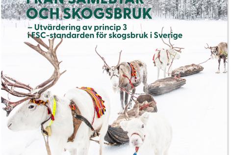 Bild från rapporten om samplanering