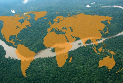 Samma regler världen över