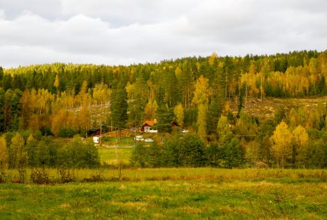Utmaningar för mindre markägare