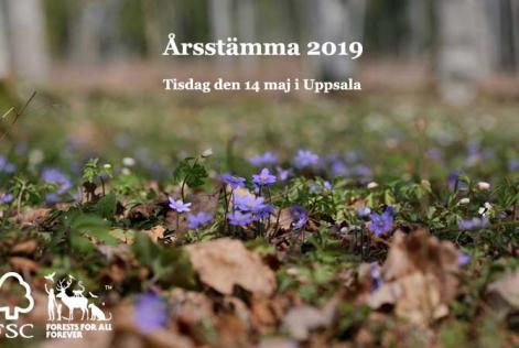Årsstämma 2019