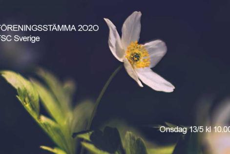 Föreningsstämma 2020