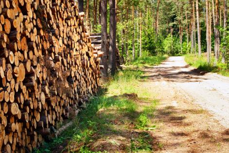 FSC-certifieringen som ett robust system för kravet på tillbörlig aktsamhet i EU:s timmerförordning