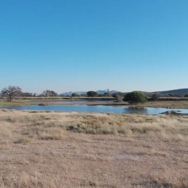 Savann i Namibia