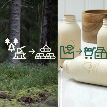 Från skog till färdig produkt
